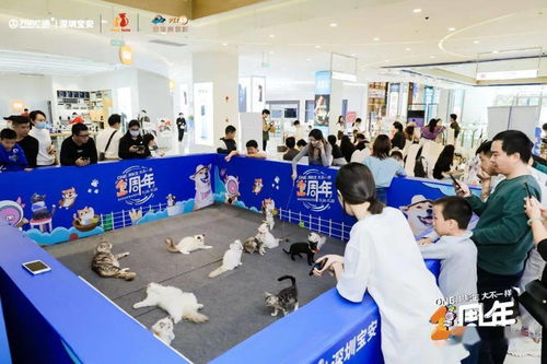 新沙天虹大型宠物活动招募赞助商与集市摊位，2月12日-13日宝安沙井敬请期待