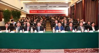赢在新华 大型组织发展活动的成功之道——以新华保险为例